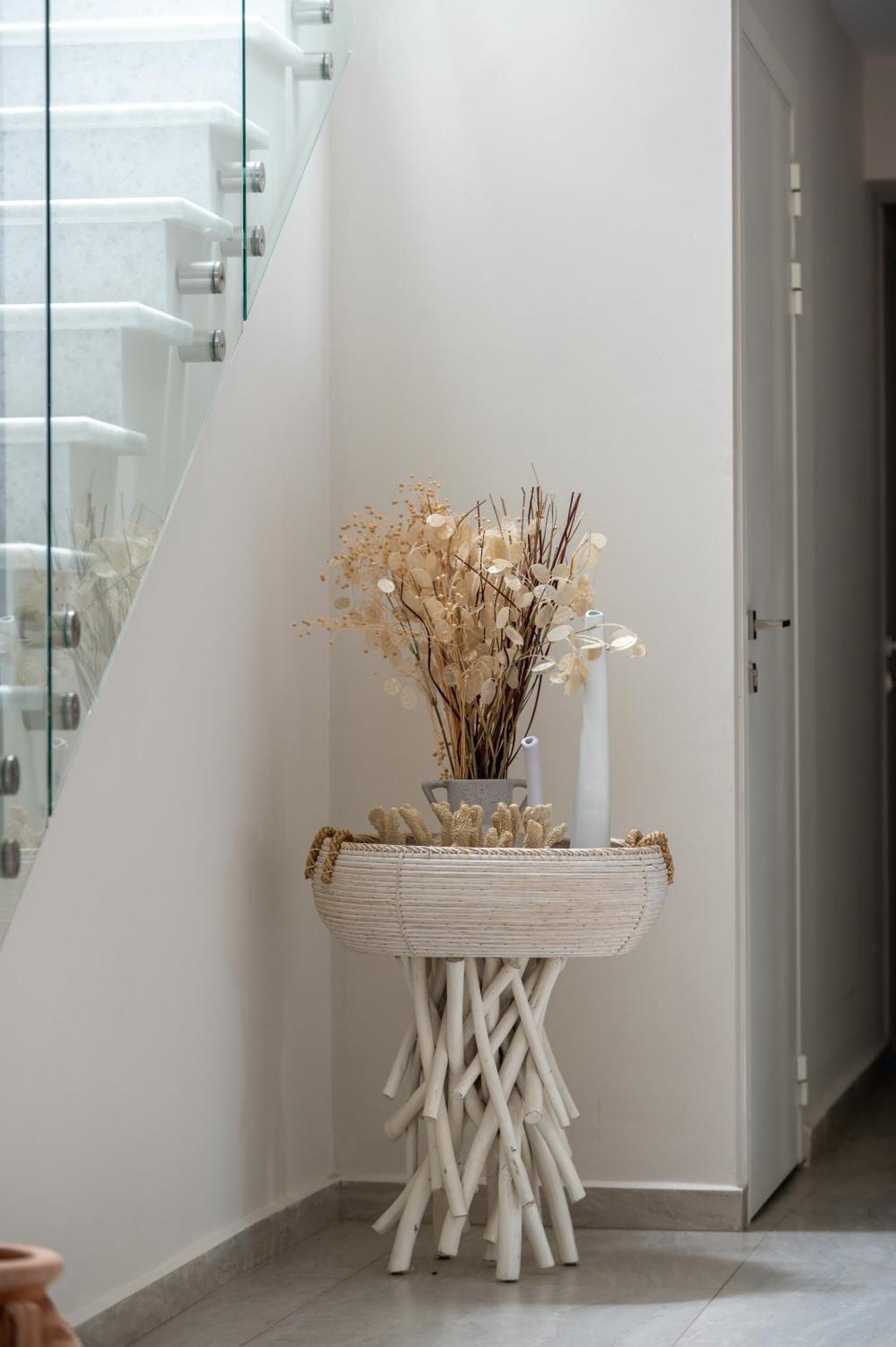 Ikies Apollon Boutique Hotel 萨尔蒂 外观 照片